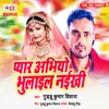 About Pyar Abhiyo Bhulail Naikhi Song